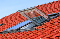 Sizewell roof window